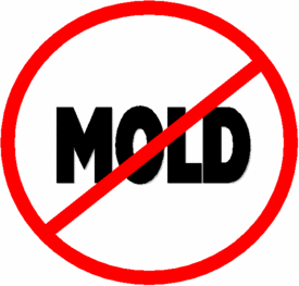 no-mold